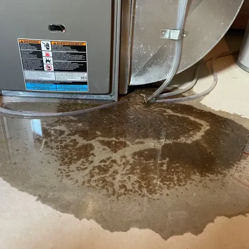 Appliance Leak Cleanup in Clinton, OK